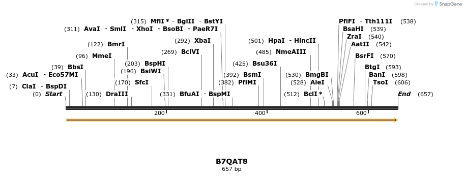 316362_map