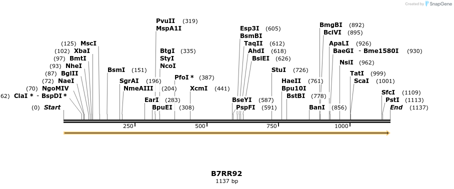 316366_map