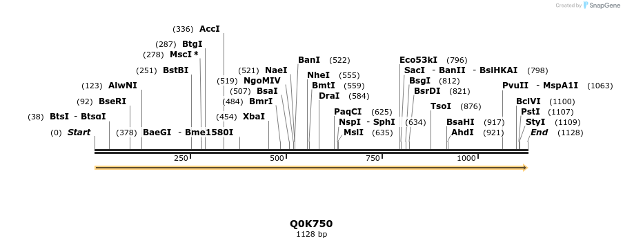 316370_map