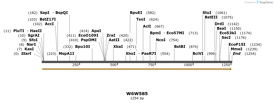 316374_map