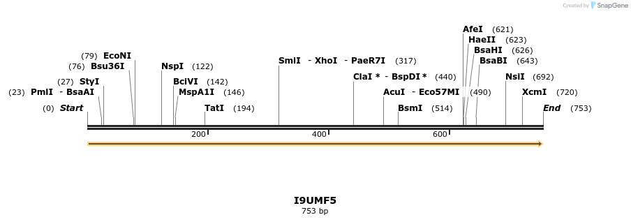 316378_map