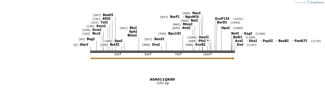 316382_map