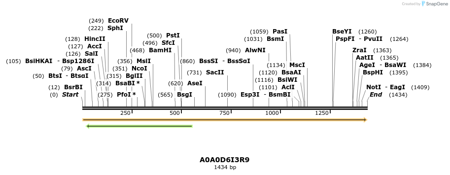 316390_map