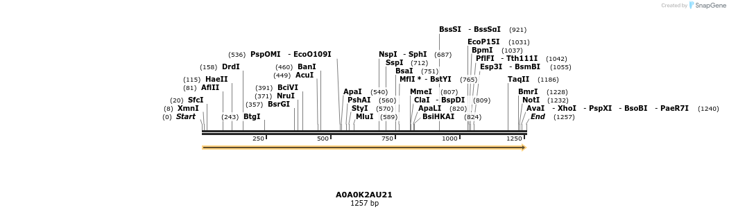 316396_map