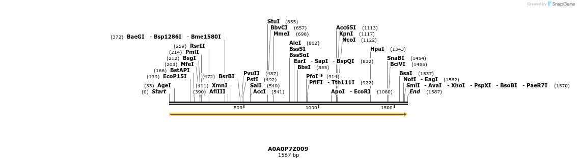 316398_map