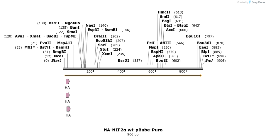 31640_map