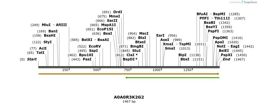 316400_map