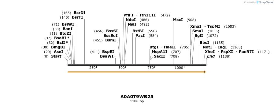 316402_map