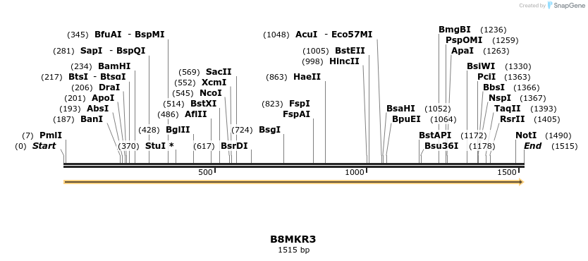 316412_map
