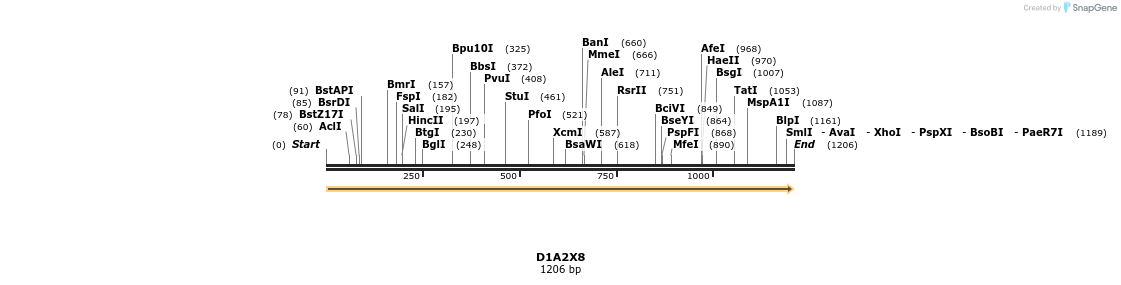 316420_map