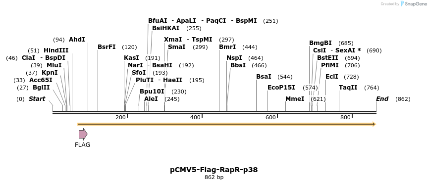 31643_map