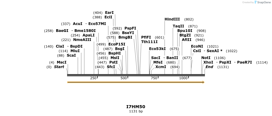 316436_map