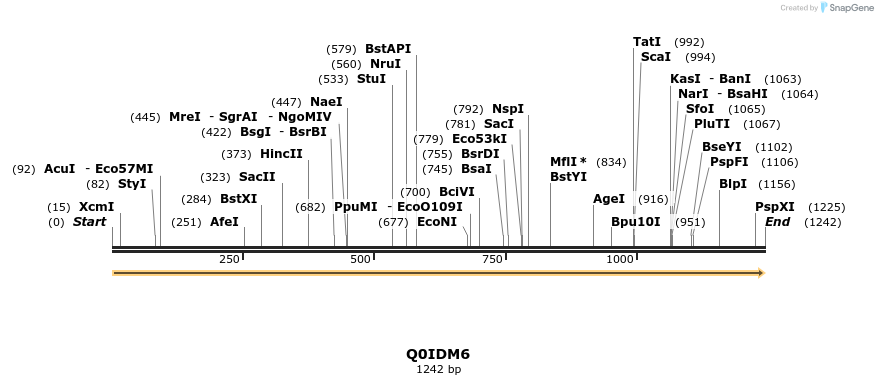 316442_map