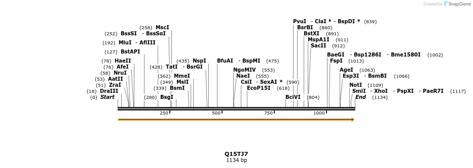 316444_map