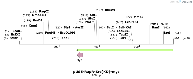 31646_map