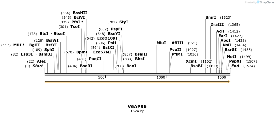 316462_map
