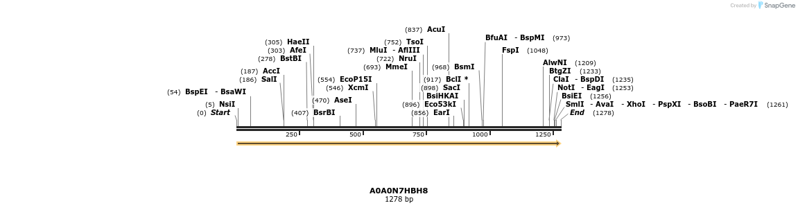 316468_map