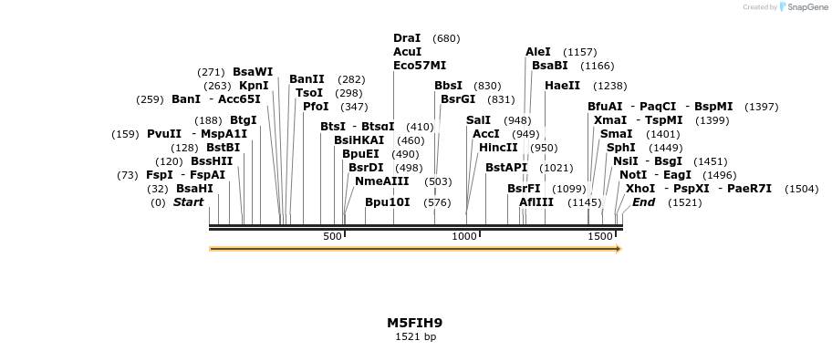 316472_map