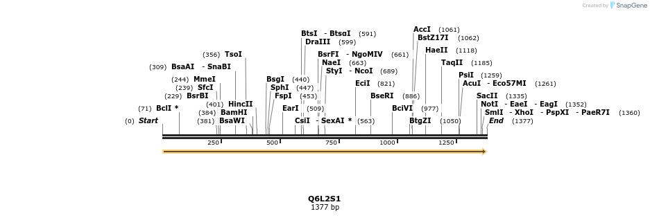 316474_map