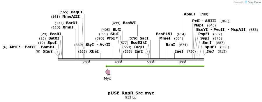 31648_map