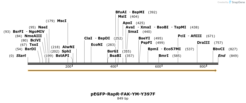 31650_map