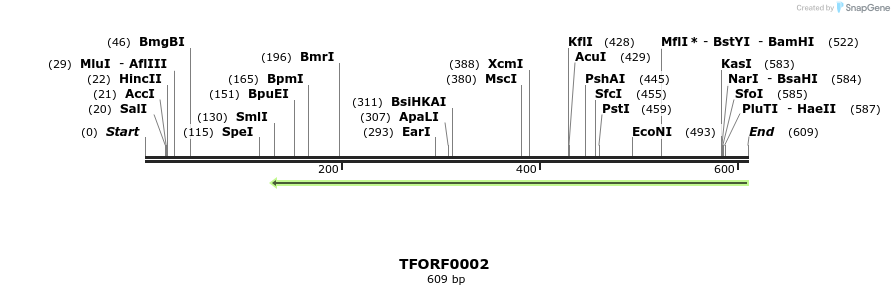 316535_map