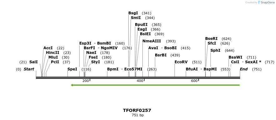 316541_map