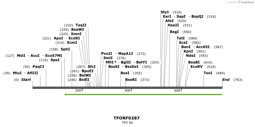 316543_map