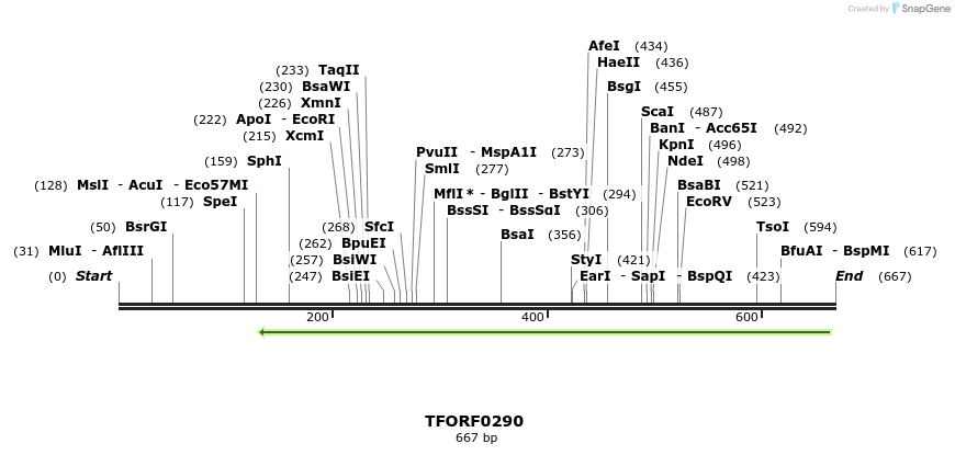 316544_map