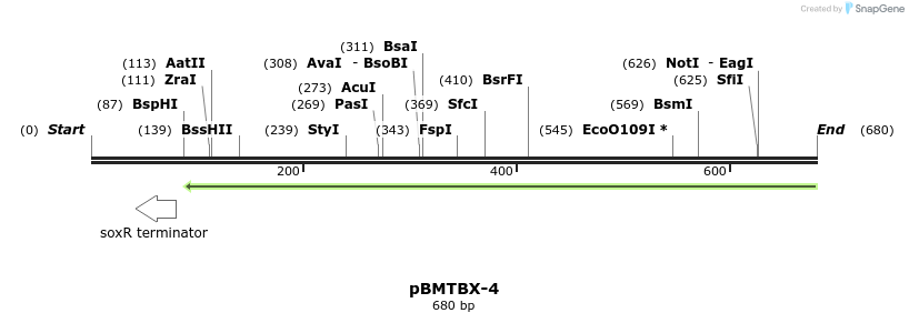 31662_map