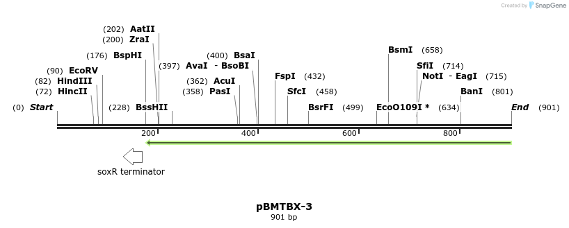 31663_map