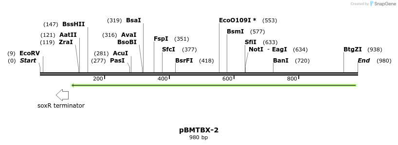 31664_map