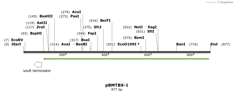 31665_map