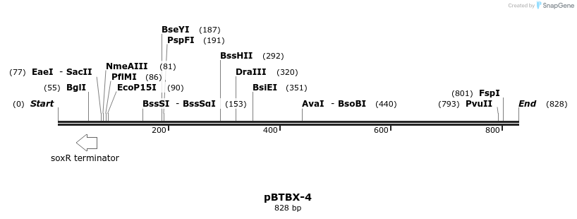 31666_map