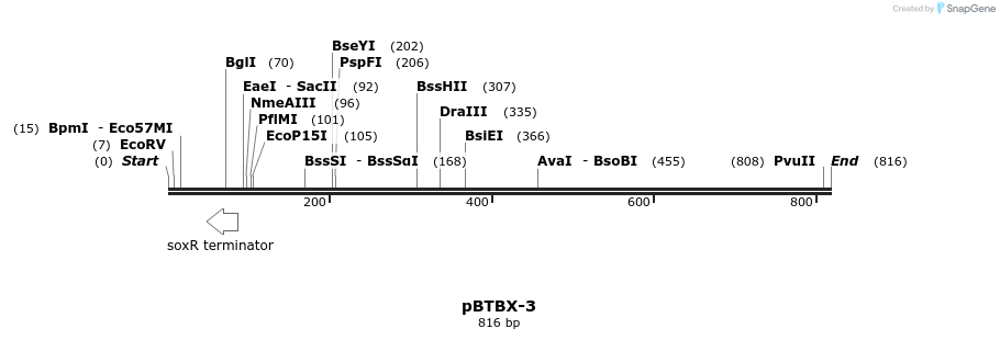 31667_map