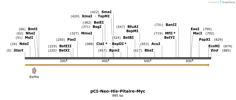 31675_map