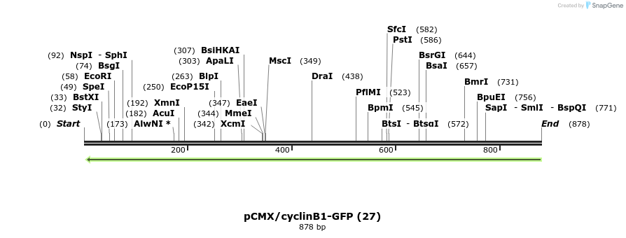 31685_map
