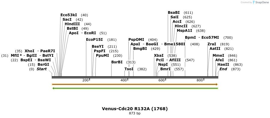 31687_map