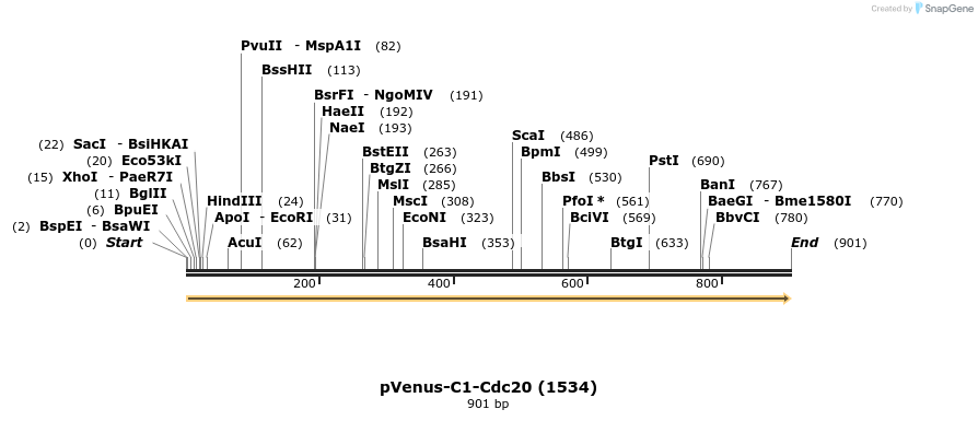 31688_map