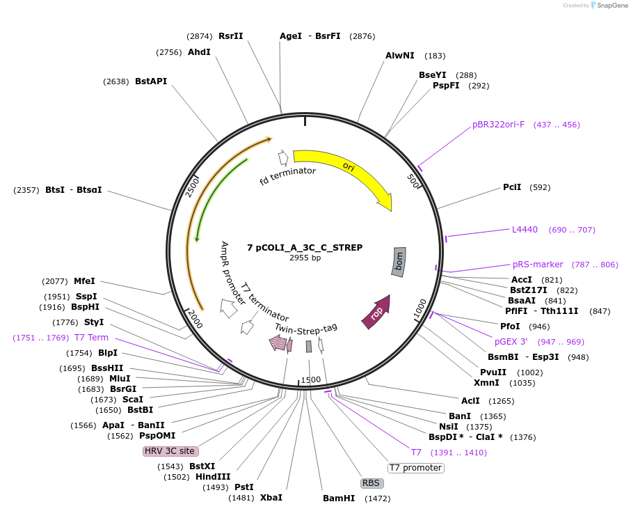 316890_map