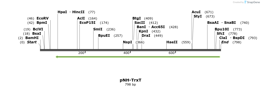 31690_map