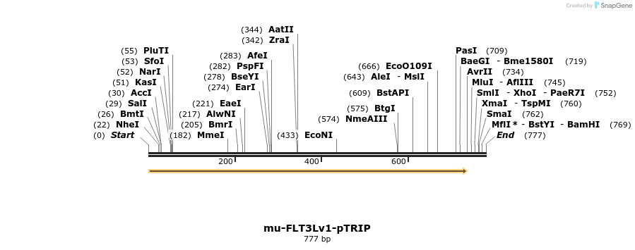 316909_map