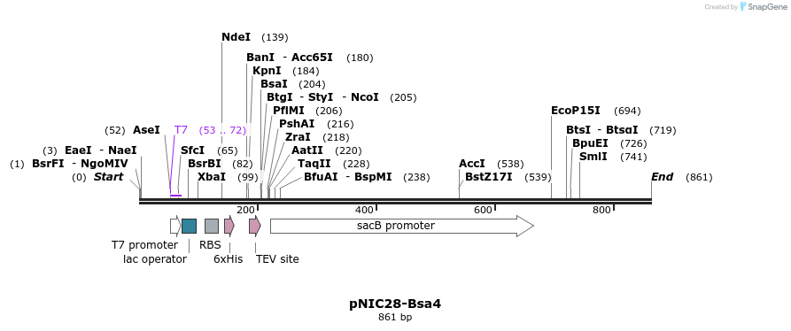 31691_map