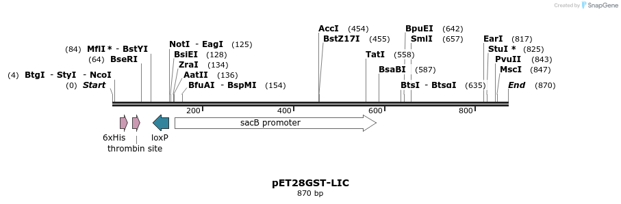 31693_map