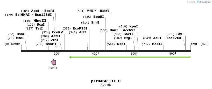 31694_map