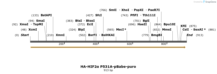 31695_map