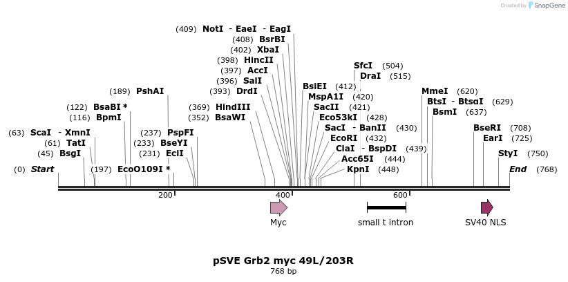 31697_map