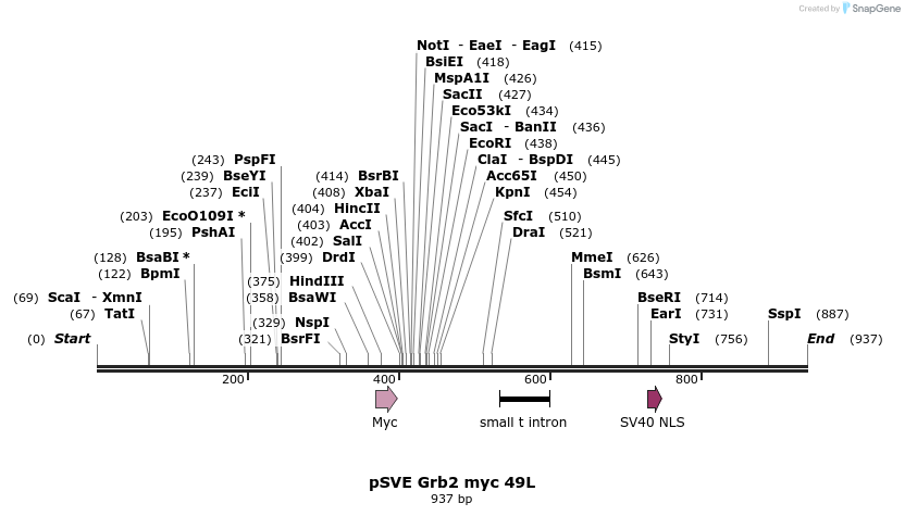 31701_map