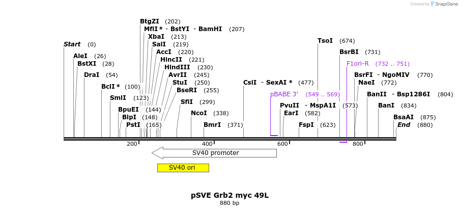 31702_map