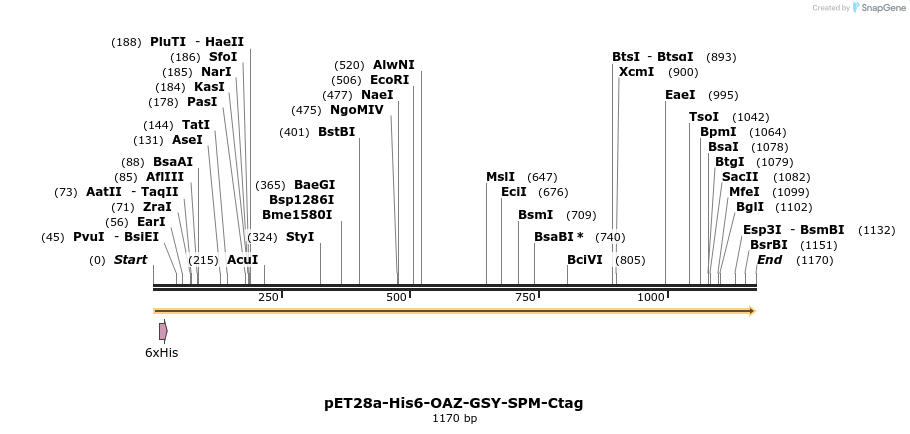 317033_map